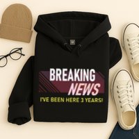 Funny 3 Year Work Anniversary 3rd Employee Appreciation Meme Hoodie
