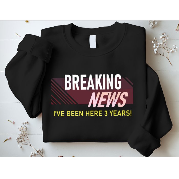 Funny 3 Year Work Anniversary 3rd Employee Appreciation Meme Sweatshirt