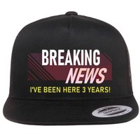 Funny 3 Year Work Anniversary 3rd Employee Appreciation Meme Flatbill Hat