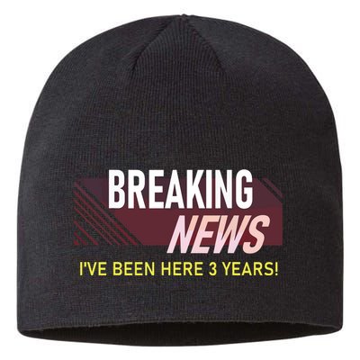Funny 3 Year Work Anniversary 3rd Employee Appreciation Meme Sustainable Beanie