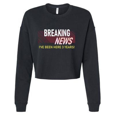 Funny 3 Year Work Anniversary 3rd Employee Appreciation Meme Cropped Pullover Crew