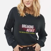 Funny 3 Year Work Anniversary 3rd Employee Appreciation Meme Cropped Pullover Crew