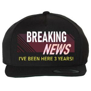 Funny 3 Year Work Anniversary 3rd Employee Appreciation Meme Wool Snapback Cap