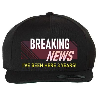 Funny 3 Year Work Anniversary 3rd Employee Appreciation Meme Wool Snapback Cap