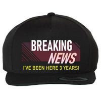 Funny 3 Year Work Anniversary 3rd Employee Appreciation Meme Wool Snapback Cap