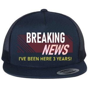 Funny 3 Year Work Anniversary 3rd Employee Appreciation Meme Flat Bill Trucker Hat