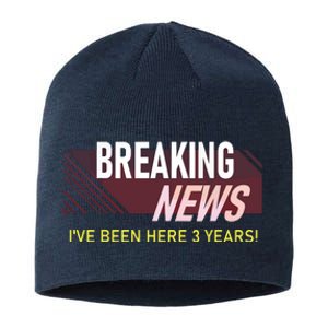 Funny 3 Year Work Anniversary 3rd Employee Appreciation Meme Sustainable Beanie