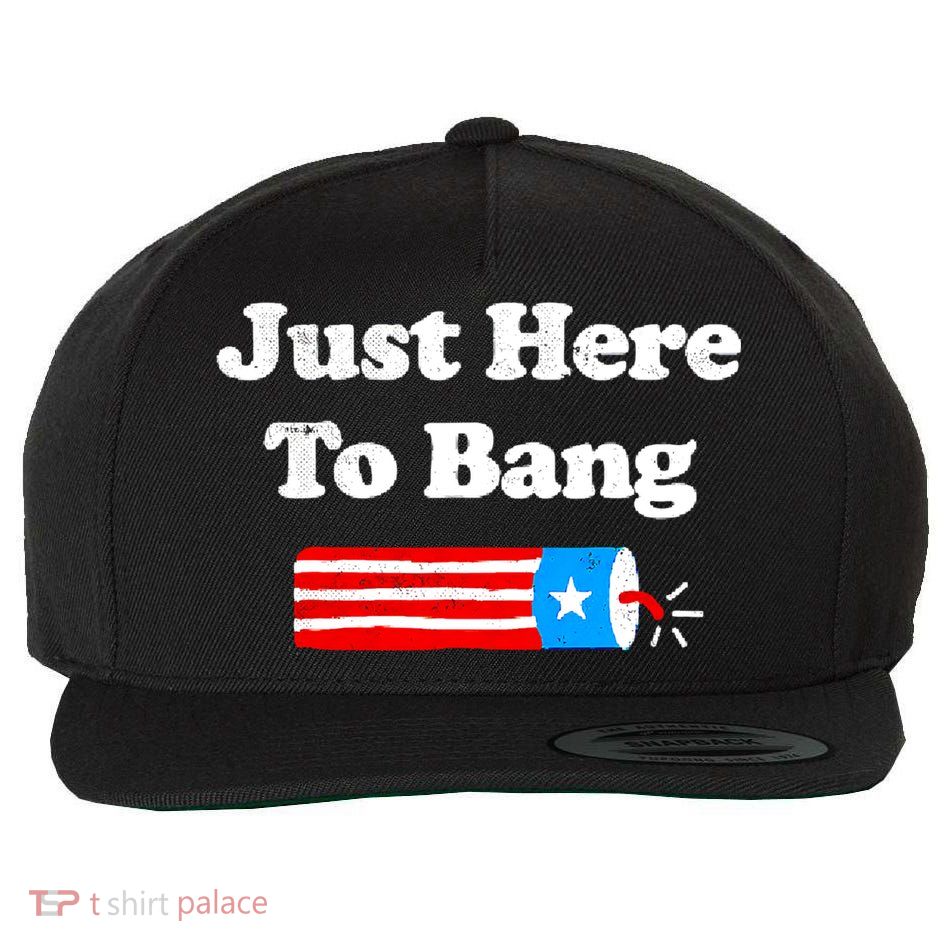 Funny 4th Of July Just Here To Bang Fireworks Fourth Of July. Wool Snapback Cap