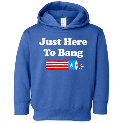 Funny 4th Of July Just Here To Bang Fireworks Fourth Of July. Toddler Hoodie