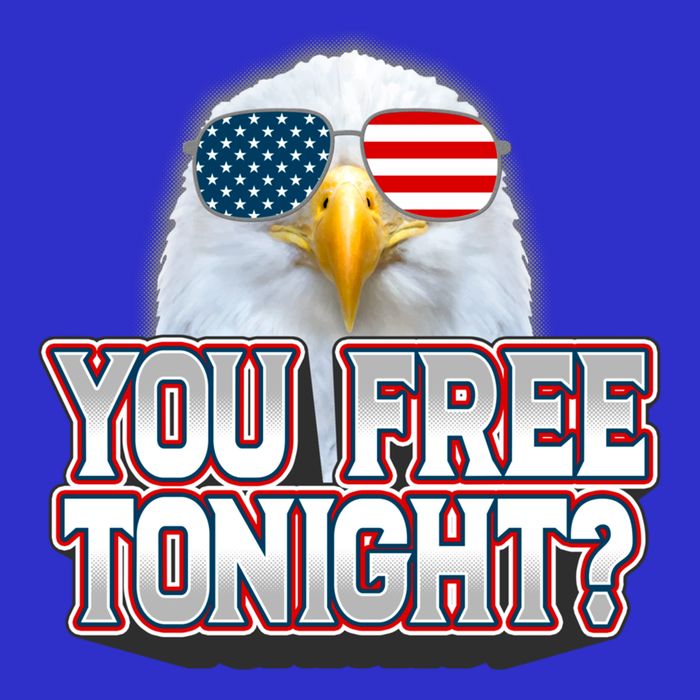 Fourth 4th Of July Bald Eagle You Free Tonight Funny Gift Hoodie
