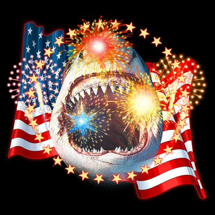 Fourth 4th Of July Fireworks Shark Cropped Pullover Crew