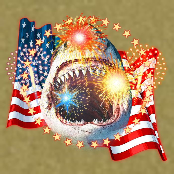 Fourth 4th Of July Fireworks Shark Garment-Dyed Women's Muscle Tee