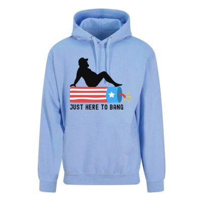 Funny 4th Of July Fathers Day USA Flag Im Just Here To Bang Unisex Surf Hoodie