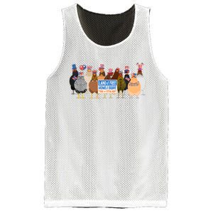 Funny 4th Of July Chicken Land Of Free Independence Day Mesh Reversible Basketball Jersey Tank