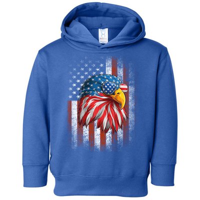 Funny 4th Of July Usa Flag American Patriotic Eagle Gift Toddler Hoodie