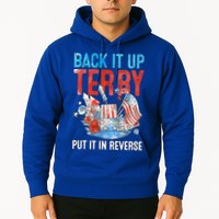 Funny 4th Of July Firework Back Up Terry Put It In Reverse Gift Hoodie