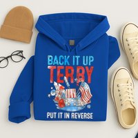 Funny 4th Of July Firework Back Up Terry Put It In Reverse Gift Hoodie