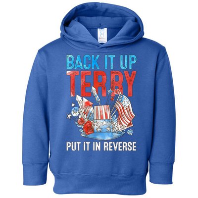 Funny 4th Of July Firework Back Up Terry Put It In Reverse Gift Toddler Hoodie