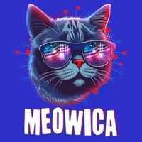 Funny 4th Of July Meowica Fireworks Cat Toddler T-Shirt