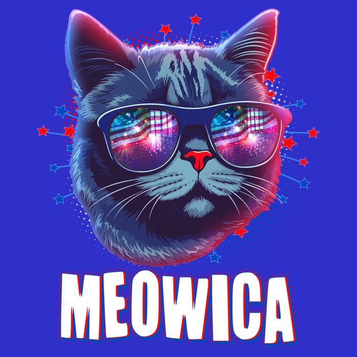 Funny 4th Of July Meowica Fireworks Cat Toddler T-Shirt