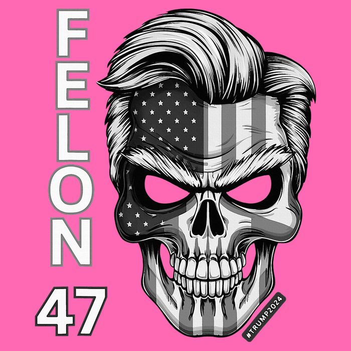 Felon 47 Trump 2024 Skull Convicted 34 Landslide Stripe Pom Pom Beanie