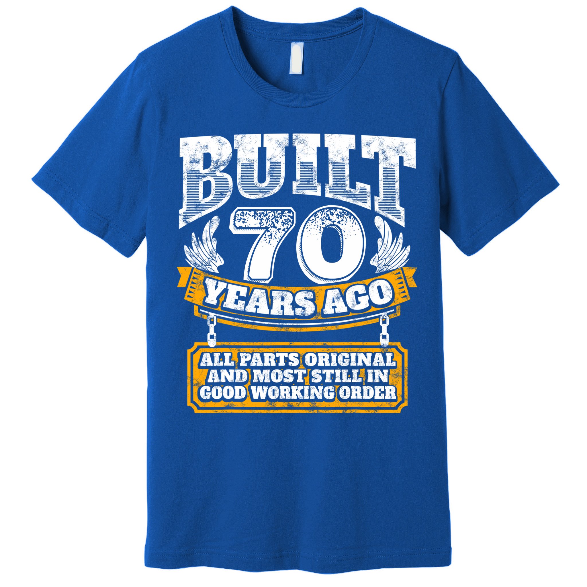 Funny 70th Birthday Gift BDay Gift Saying Age 70 Year Joke Premium T-Shirt