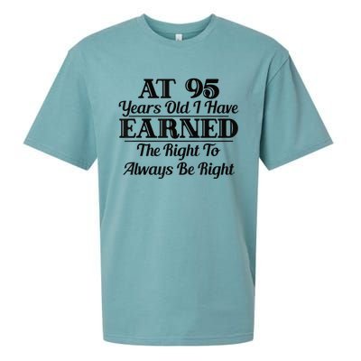 Funny 95th Birthday Present Gift Shirt - 95 Year Old Funny Shirt Sueded Cloud Jersey T-Shirt