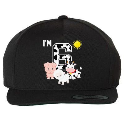 Farm Animals 6th Birthday 6 Year Old Birthday Party Wool Snapback Cap