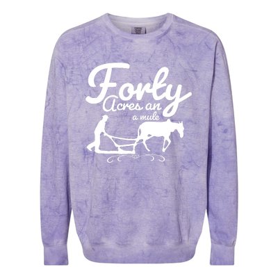 Forty Acres And A Mule Colorblast Crewneck Sweatshirt