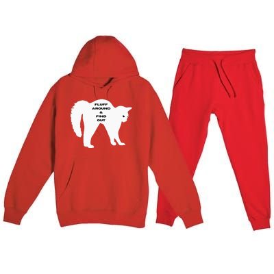 Fluff Around And Find Out Premium Hooded Sweatsuit Set