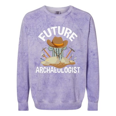 Future Archaeologist Archaeology Archeologist Archeology Colorblast Crewneck Sweatshirt