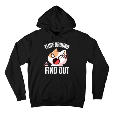 Fluff Around and find out Funny Sarcastic Cat Lady Hoodie