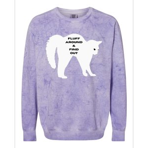 Fluff Around And Find Out Funny Cat Colorblast Crewneck Sweatshirt