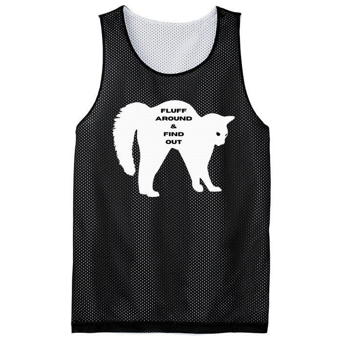 Fluff Around And Find Out Funny Cat Mesh Reversible Basketball Jersey Tank