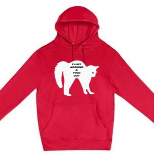 Fluff Around And Find Out Funny Cat Premium Pullover Hoodie