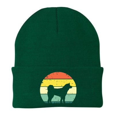 Funny Akita Art Men Women Dog Walker Veterinarian Dog Sitter Knit Cap Winter Beanie