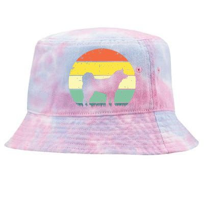 Funny Akita Art Men Women Dog Walker Veterinarian Dog Sitter Tie-Dyed Bucket Hat