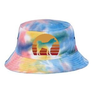 Funny Akita Art Men Women Dog Walker Veterinarian Dog Sitter Tie Dye Newport Bucket Hat