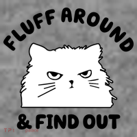 Fluff Around And Find Out Funny Angry Cat Toddler Hoodie