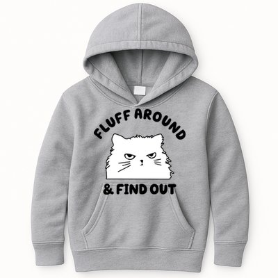 Fluff Around And Find Out Funny Angry Cat Kids Hoodie