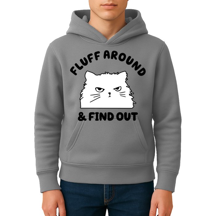 Fluff Around And Find Out Funny Angry Cat Kids Hoodie