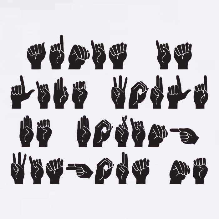 Funny ASL American Sign Language Toddler T-Shirt