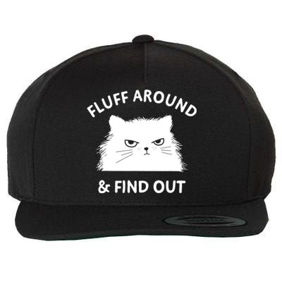 Fluff Around And Find Out Funny Cat Adult Humor Cool Gift Wool Snapback Cap