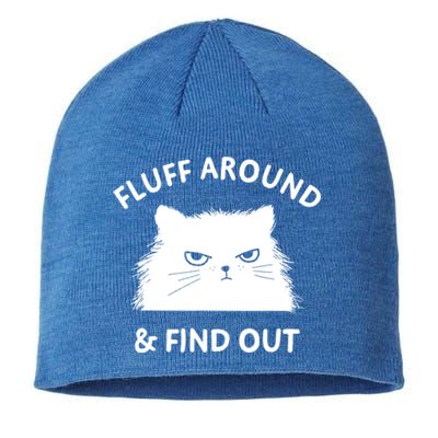 Fluff Around And Find Out Funny Cat Adult Humor Cool Gift Sustainable Beanie