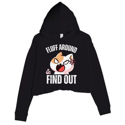 Fluff Around And Find Out Funny Sarcastic Cat Lady Crop Fleece Hoodie