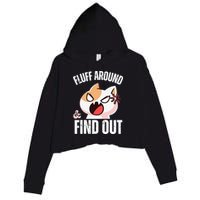 Fluff Around And Find Out Funny Sarcastic Cat Lady Crop Fleece Hoodie