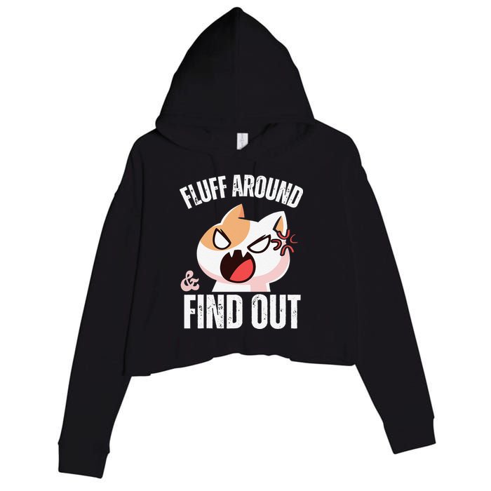 Fluff Around And Find Out Funny Sarcastic Cat Lady Crop Fleece Hoodie