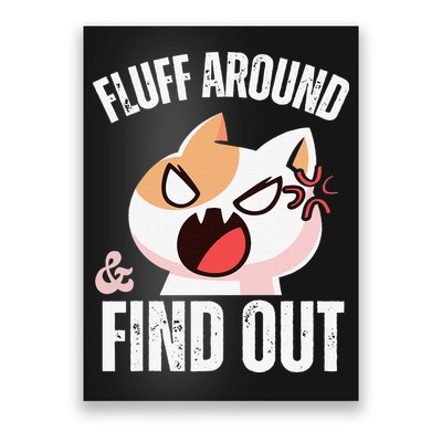 Fluff Around And Find Out Funny Sarcastic Cat Lady Poster