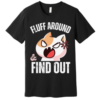Fluff Around And Find Out Funny Sarcastic Cat Lady Premium T-Shirt
