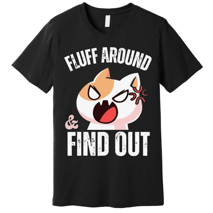 Fluff Around And Find Out Funny Sarcastic Cat Lady Premium T-Shirt